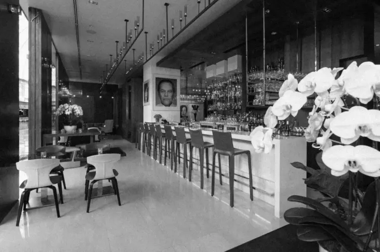 Sleek black-and-white bar interior with modern chairs, a long counter, and decorative hanging lights. Orchids add elegance, creating a refined ambiance.