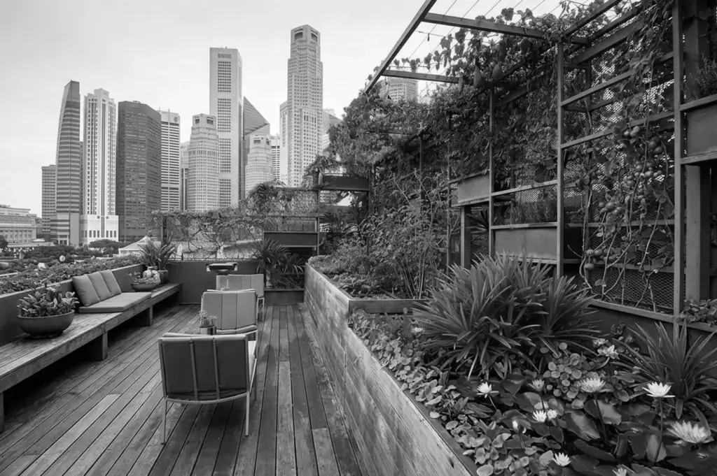 Rooftop urban farm and garden in Singapore with vertical growing systems, water lilies, green seating areas, and CBD skyline backdrop