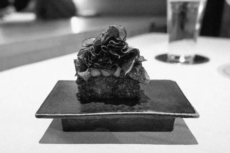 Black and white image of an elegantly plated dish on a rectangular ceramic plate, featuring a fried patty topped with delicate, crispy garnishes.