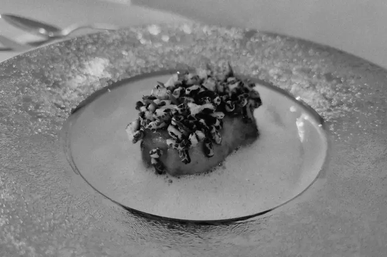 Elegant dish with a seared scallop topped with finely diced garnishes, set amidst a creamy sauce on a textured, decorative plate.