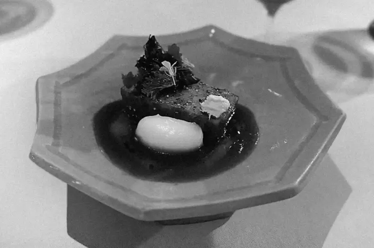 Black and white image of an elegantly plated gourmet dish on a geometric plate, featuring a seared piece of meat, a dollop of puree, and delicate herbs.