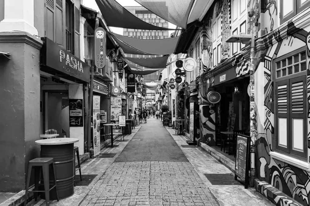 Singapore alleyway lined with shophouse restaurants and cafes, featuring overhead awnings and street art murals