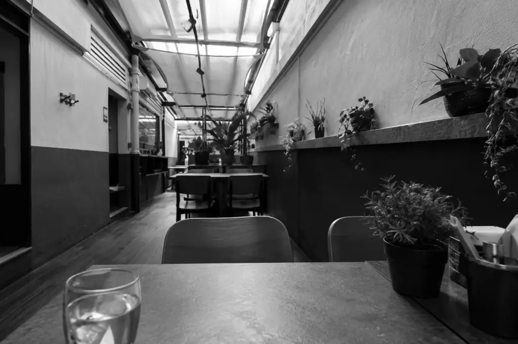Long and narrow cafe interior with wooden tables, chairs, and potted plants lining the shelves under a skylight