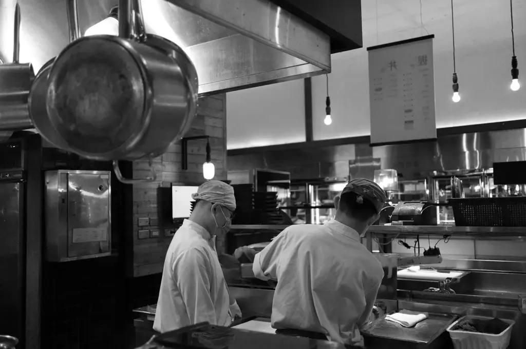 Two chefs working together in a busy professional restaurant kitchen during food preparation.